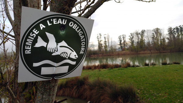 Avis aux taquineurs de goujons…