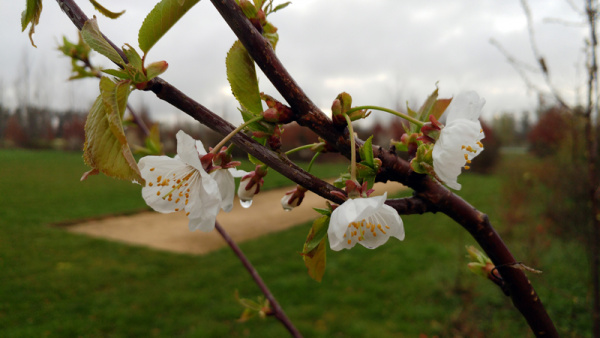 Vivement le soleil ! 