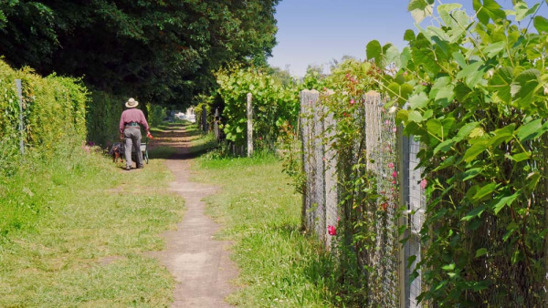 Les jardins solidaires et écologiques de Dax