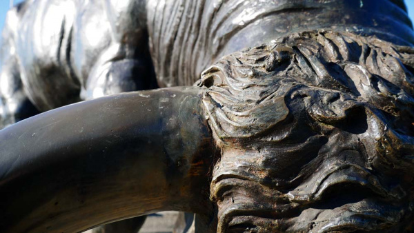 Détail du bronze « Le taureau » de Christian Maas 