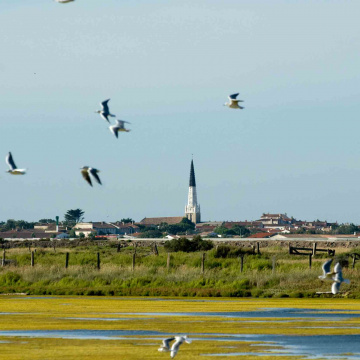Club de l'attractivité