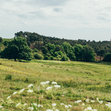Maraîchage bio et solidaire
