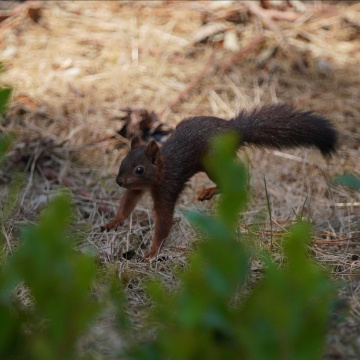 Biodiversité : protégeons le vivant