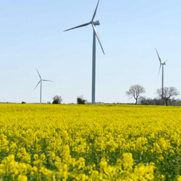 Substituer les énergies fossiles par les énergies renouvelables