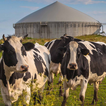 La méthanisation ou comment recycler des déchets en énergie