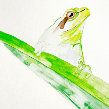 Exposition - Sentinelles du climat  " Quel avenir pour le vivant ? "