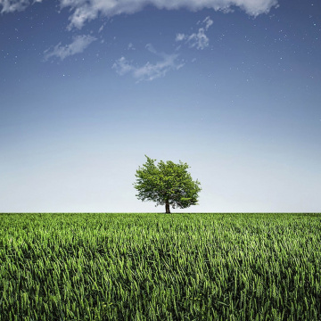 Conférence débat - Une seule santé
