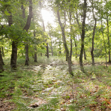 Concertation Eco-socio-conditionnalité des aides 2023