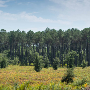 Biodiversité : la Région accompagne les sites Natura 2000 