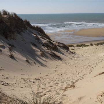 Lutter contre l’érosion côtière à Lacanau et à Soulac-sur-Mer