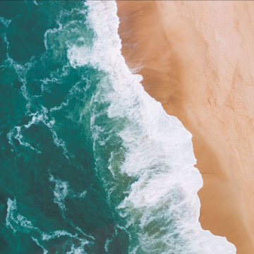 Néo Terra, le festival des solutions