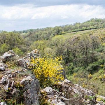 RNR, des espaces de biodiversité soutenus par la Région