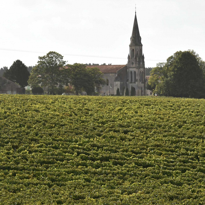 “Cluster ruralité”, un levier innovant pour les territoires