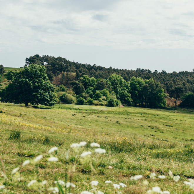 Les carnets de marche