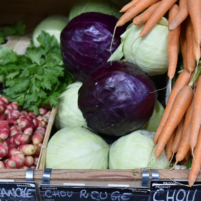 Agriculture bio : la forte progression en Nouvelle-Aquitaine