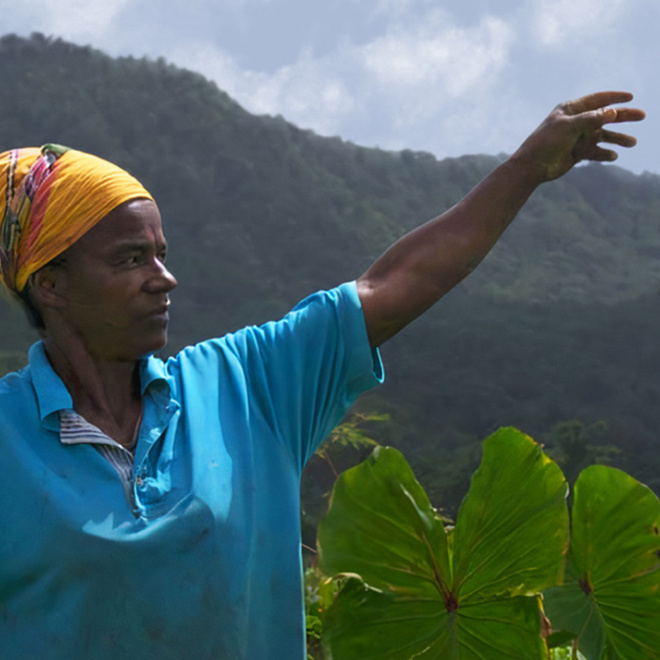 Festival international Filmer le travail 2022