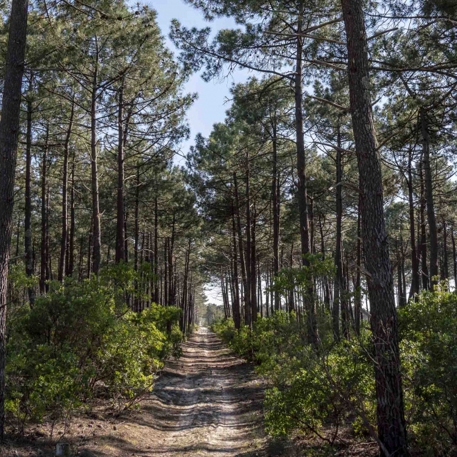 Pour une gestion durable des forêts, en partenariat avec l’ONF