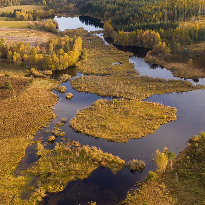Deux appels à projets pour les zones humides et la biodiversité