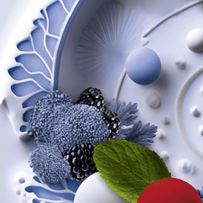 Toques & porcelaine 2023 - Découvrez les formations du secteur