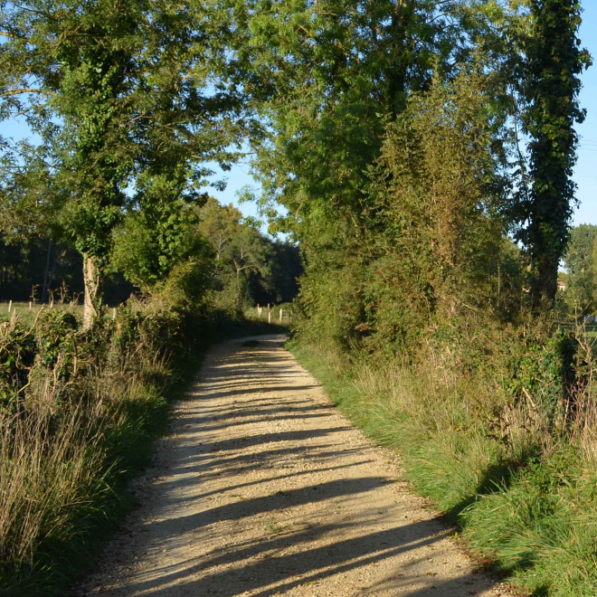 Projet de RNR des marais de Galuchet, la Plante et boucles de la Sèvre niortaise : bilan de la consultation
