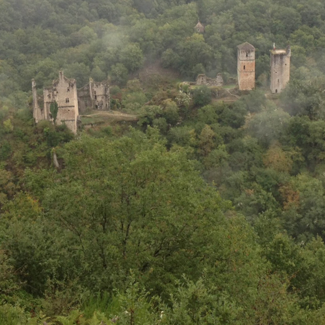 Le projet de RNR des Gorges de la Maronne et Tours de Merle - Bilan de la consultation