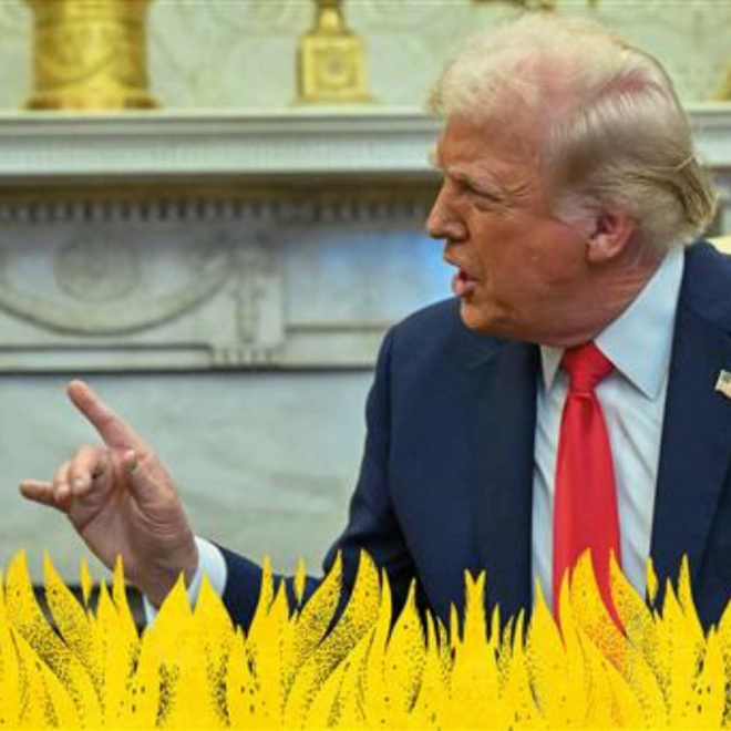 Tribunes de la presse